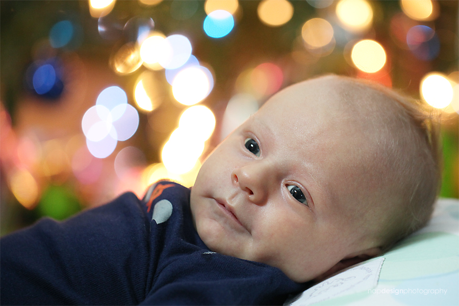 newborn-calvin-9343