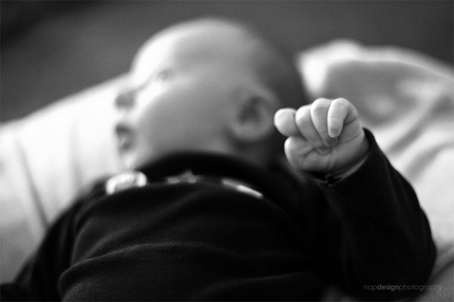 newborn-calvin-9366