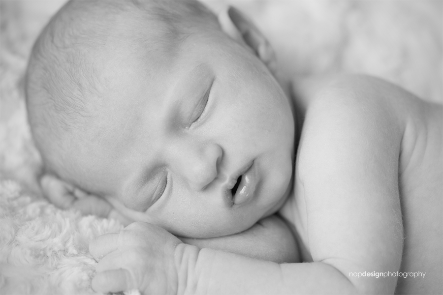 napdesignphotography-newborn2577cbw