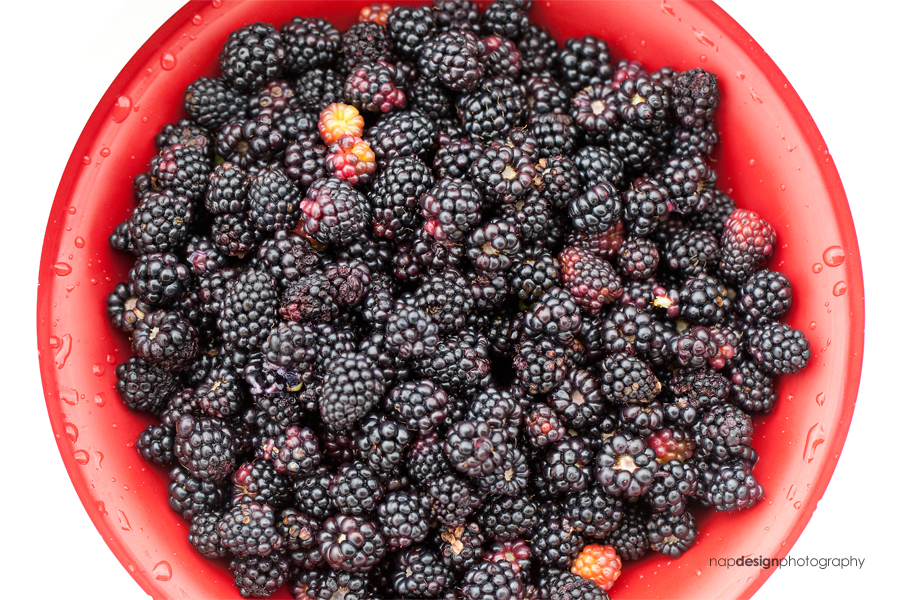 bowl of dewberries